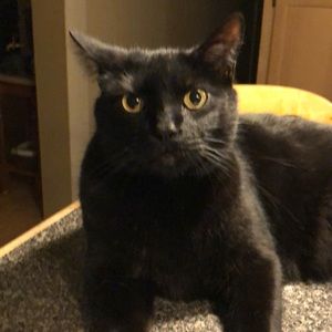 Meet your Posher, Kay